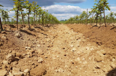 гадавальнік матэрыял вытворчасць і распаўсюджванне Польшча