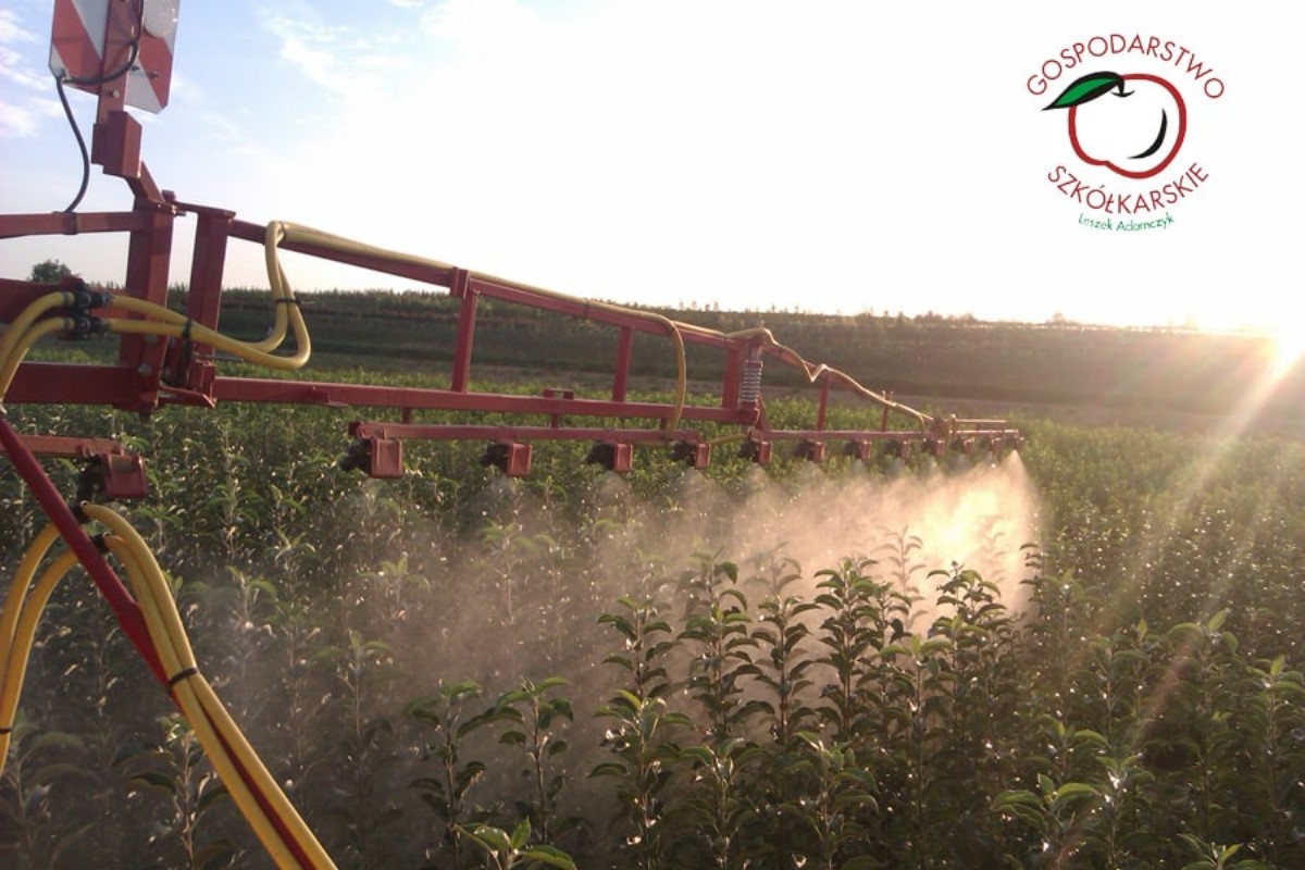 гадавальнік матэрыял вытворчасць і распаўсюджванне Польшча